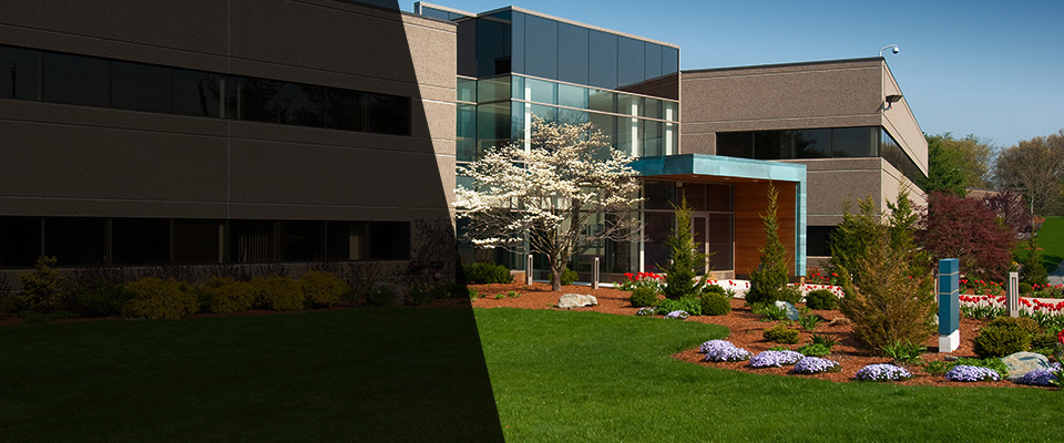 Citrus Heights Landscapers