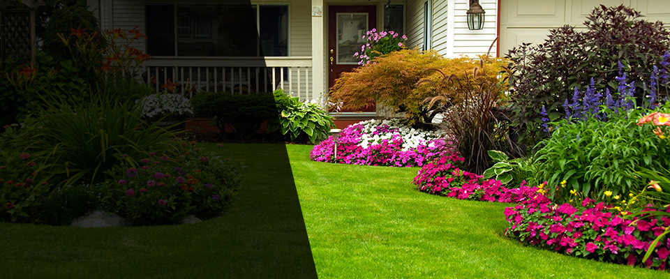 Citrus Heights Landscapers