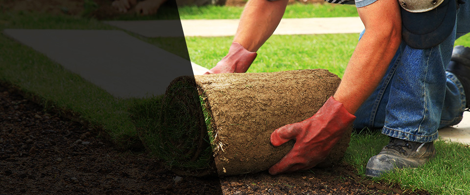 Citrus Heights Landscapers